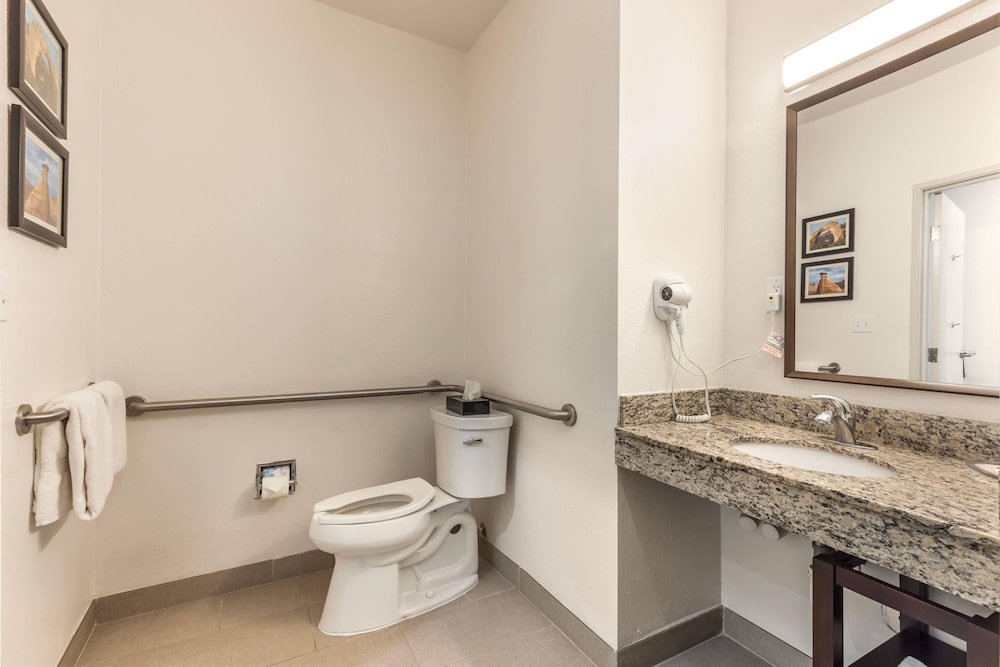 Comfort Inn & Suites Aztec Farmington Area - photo 17
