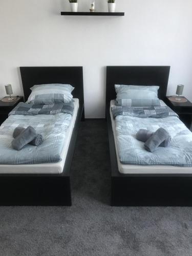 Dionysos in Neumuenster, Germany