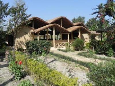Racyshade Resort Bardia National Park — Bardiya — photo 3