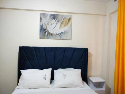 Cutie homes_studio