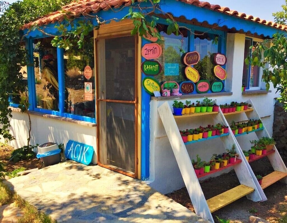 Alterna Koy Evi — Ayvacik — photo 2