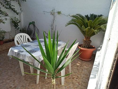 Jardins Premium - carbon neutral hotel in Ipojuca