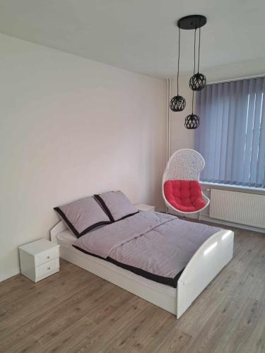 Wlodawa Spot 20392424 — Wlodawa
