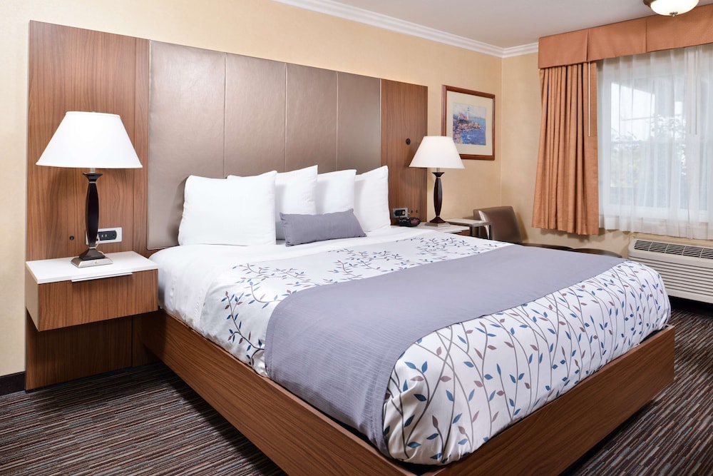 Best Western Airpark Hotel LAX Airport LA Stadium - photo 7