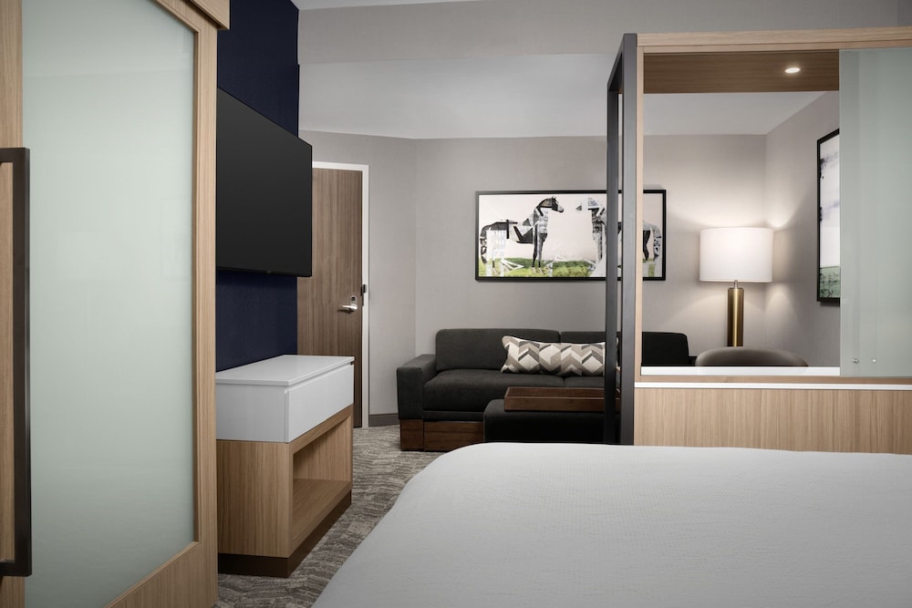 SpringHill Suites by Marriott Lexington Fritz Farm - photo 8