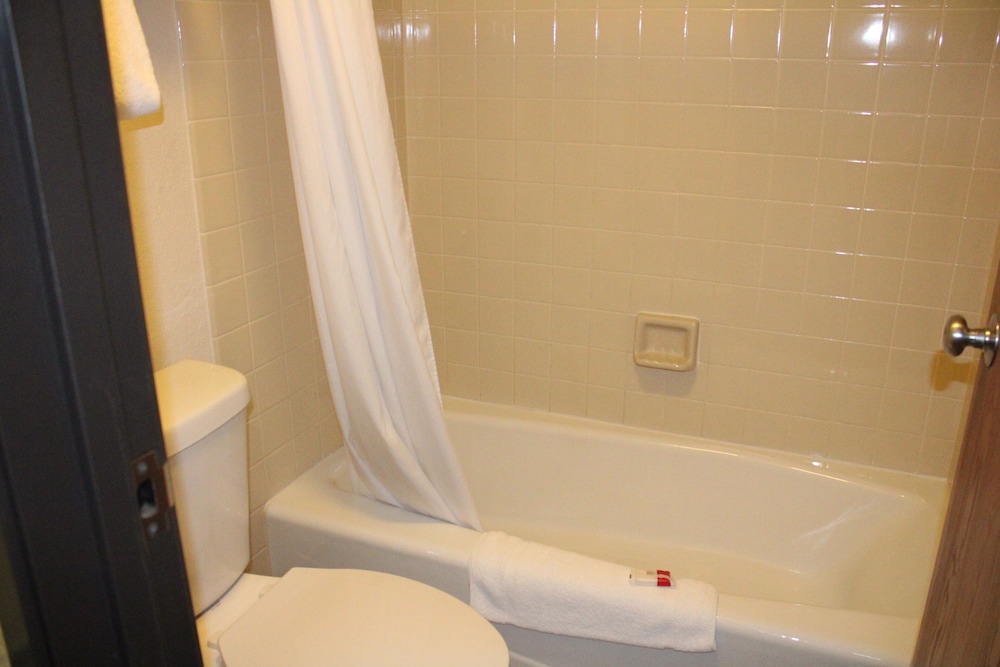 The Oasis Hotel & Bar - photo 24