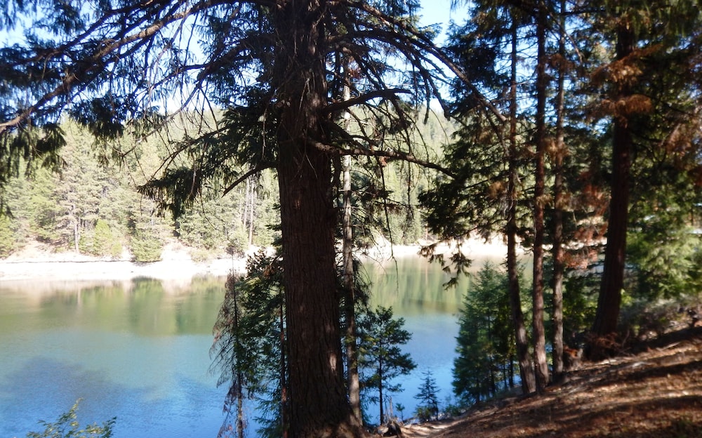 Mount Shasta Resort - photo 88