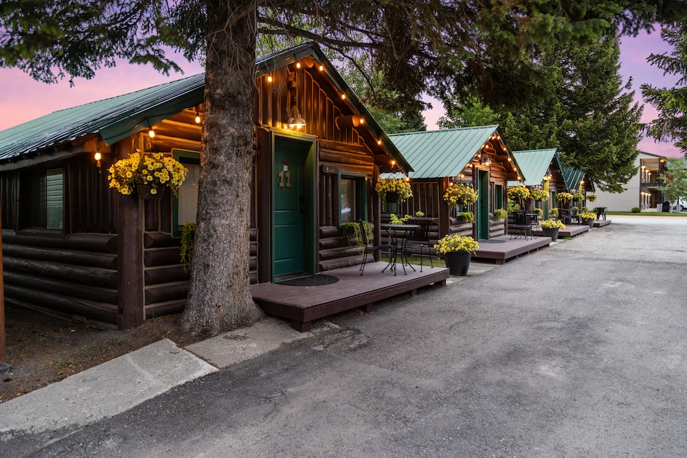The Bucking Moose - photo 143