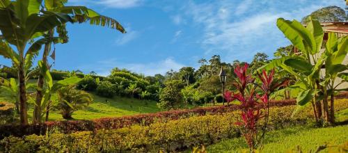 Eco Bambú cerca al Parque del Café in Montenegro, Colombia