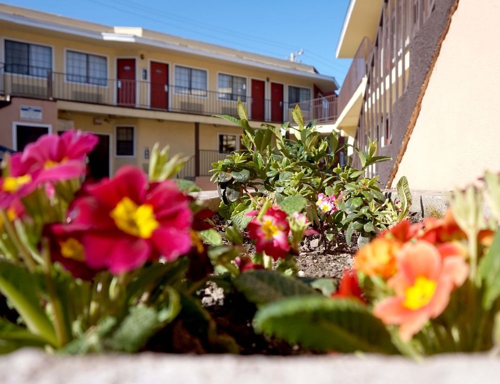Piedmont Place - photo 40
