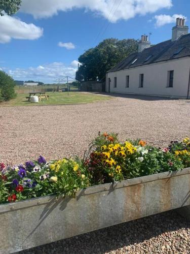 Sea View Cottage2 Dunnetbay accommodation — Thurso — photo 3