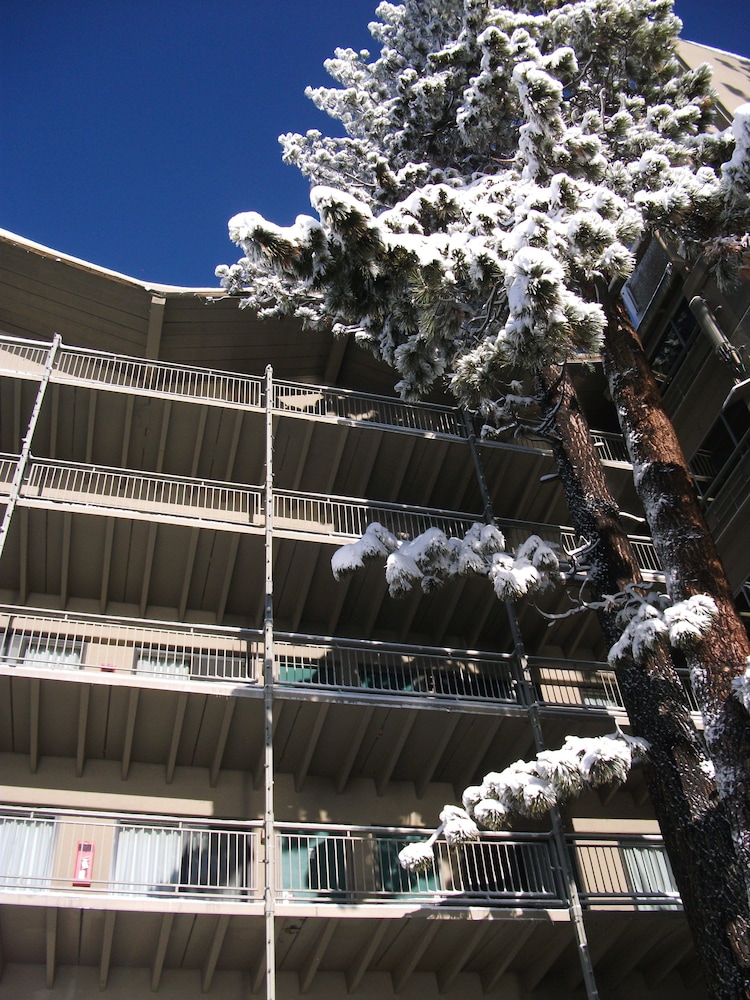 Pepper Tree Inn - photo 36