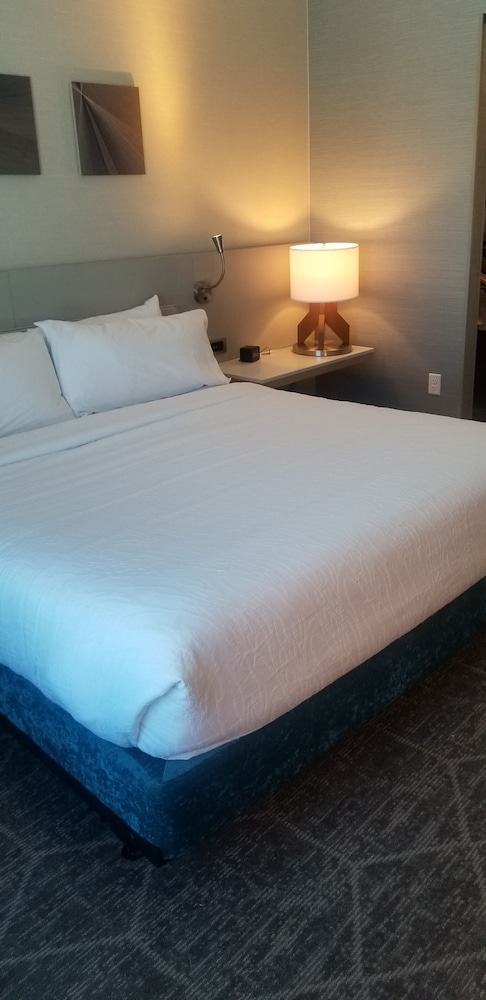 Hilton Garden Inn Colorado Springs Downtown - photo 37