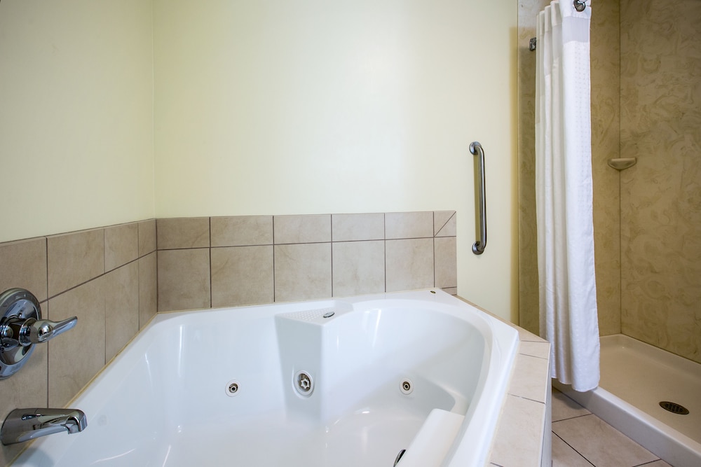 Holiday Inn Express & Suites Vandalia an IHG Hotel - photo 2