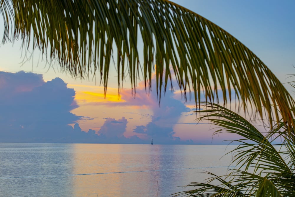 Amara Cay Resort - photo 111