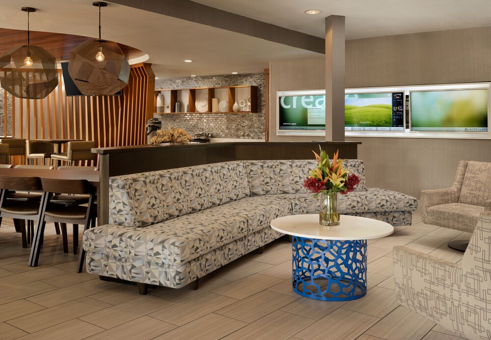 SpringHill Suites Dallas Arlington North - photo 13
