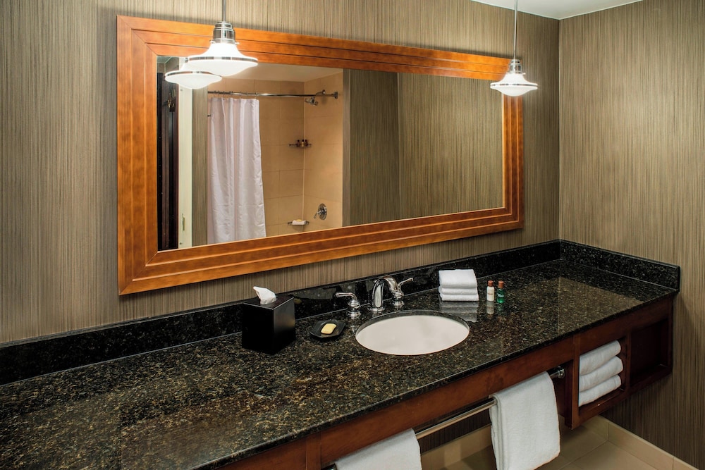 The Plaza Hotel Columbus at Capitol Square - photo 13