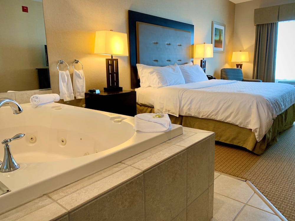 Holiday Inn Express Hotel & Suites Olathe North by IHG - photo 13