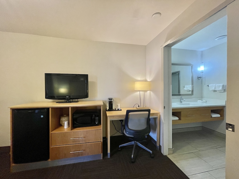 Red Roof Inn PLUS & Suites Tampa - photo 12