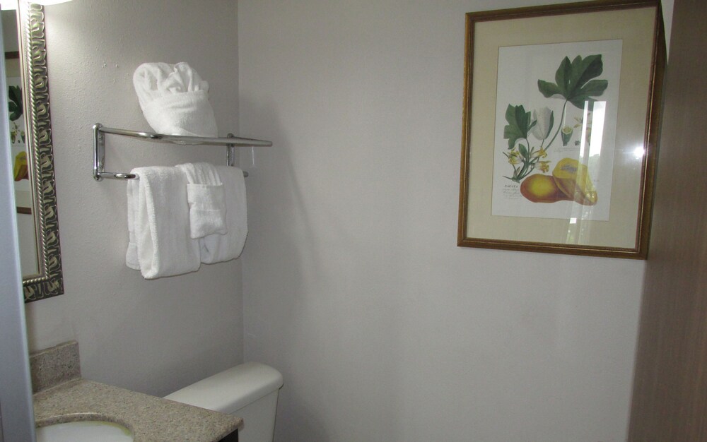 Charleston Grand Hotel - photo 35