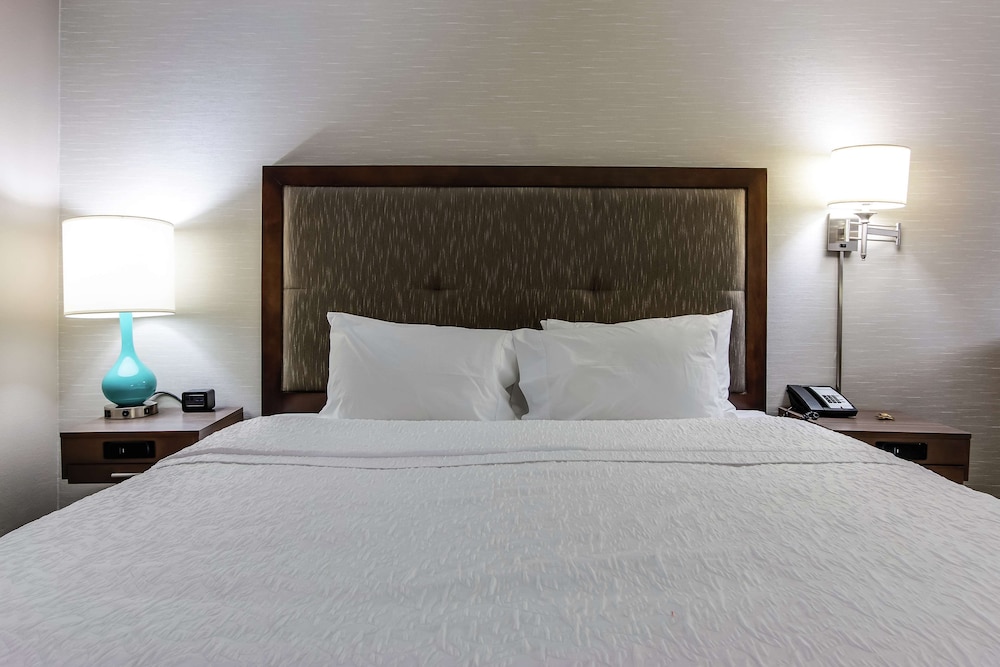 Hampton Inn Dickson - photo 24