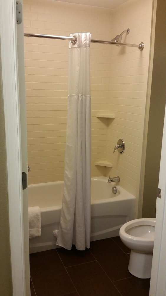 Staybridge Suites Jacksonville Camp Lejeune Area an IHG Hotel - photo 16