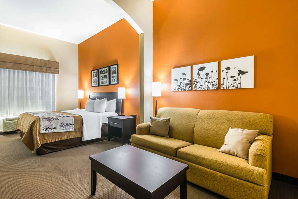 Sleep Inn and Suites Ocala Belleview - photo 20