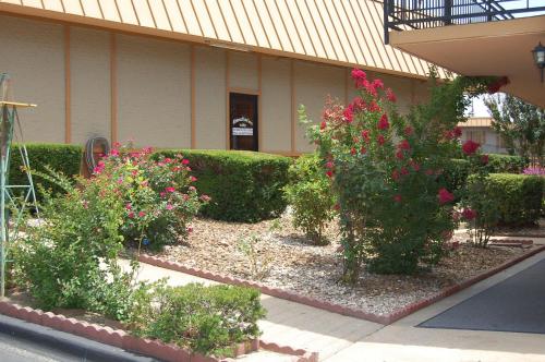 Executive Inn and Suites Springdale - photo 25