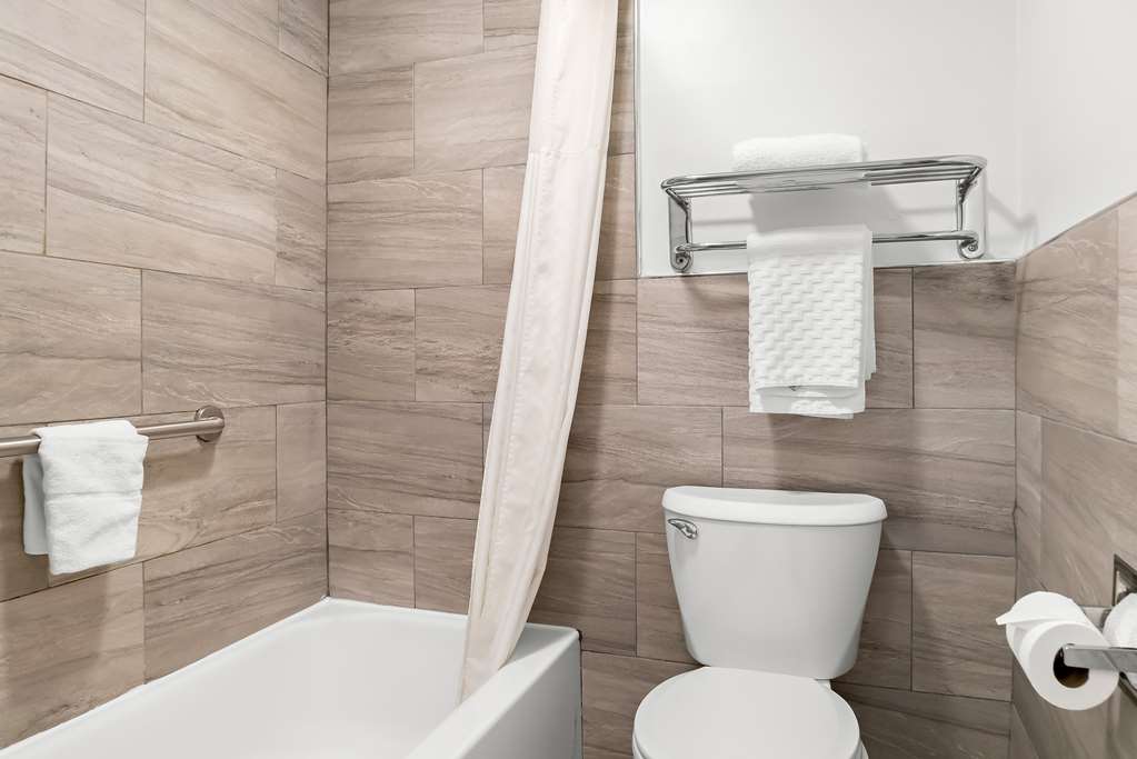 Best Western Plus Flint Airport Inn & Suites - photo 37