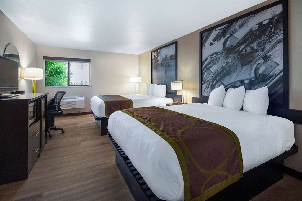 Super 8 by Wyndham St. Regis - photo 24