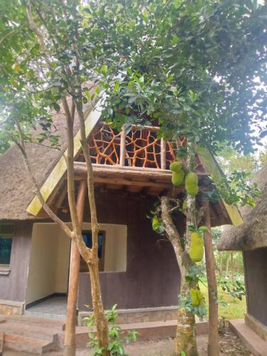 Nguru Farm Cottages in Kabale, Republic of Uganda