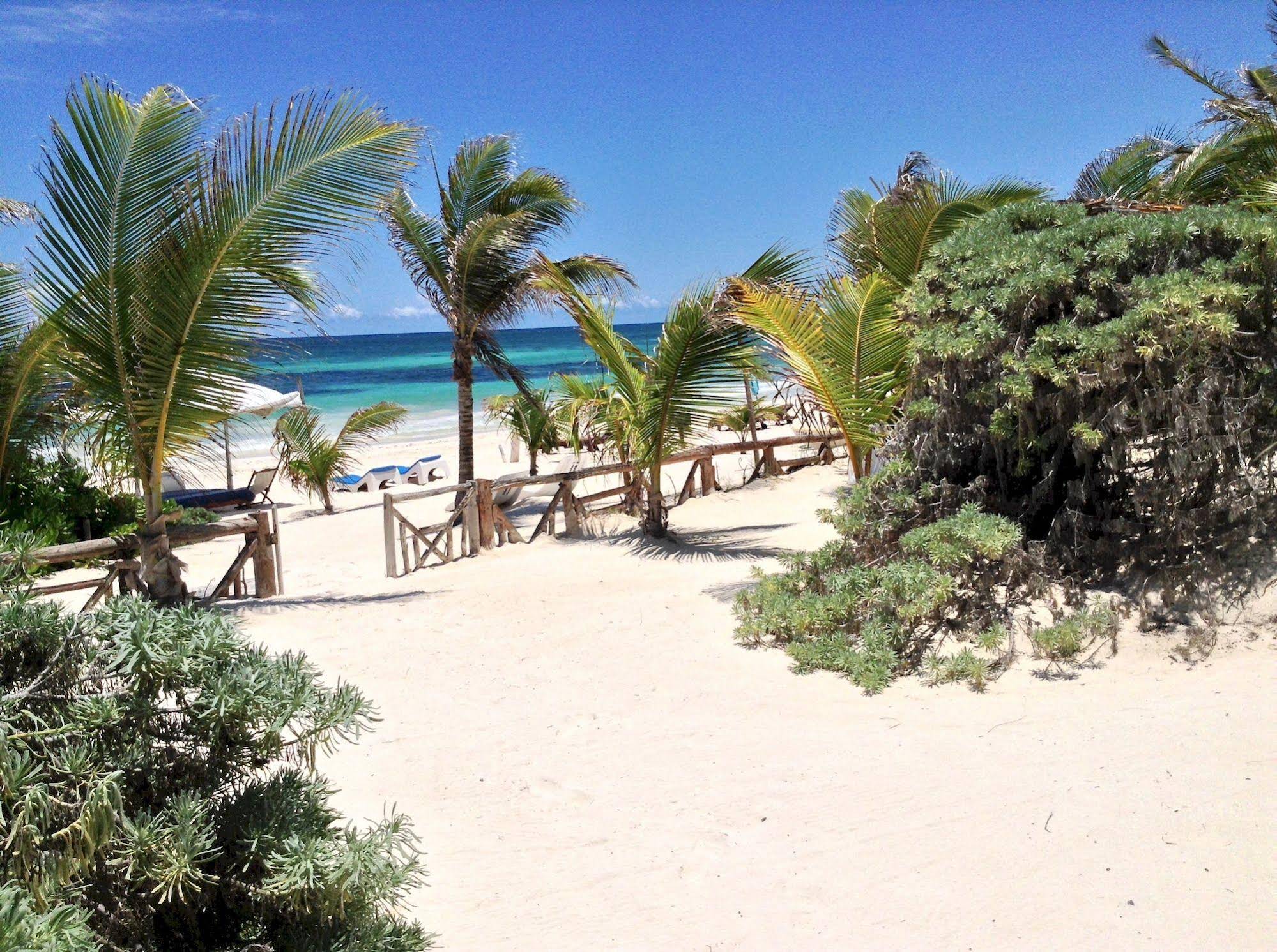 El Caracol Tulum - carbon neutral hotel in Tulum