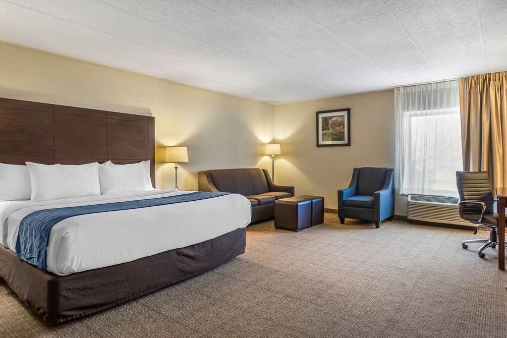 Comfort Inn Grand Rapids Airport - photo 26
