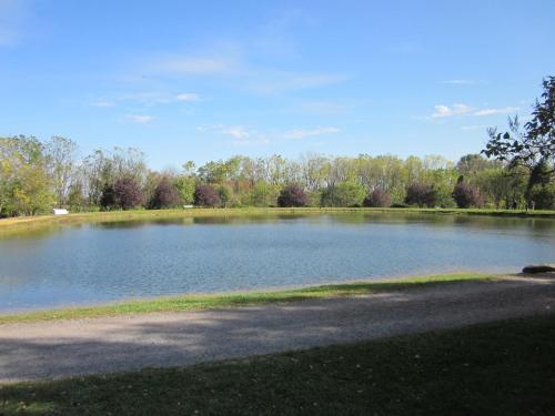 Appalachian Camping Resort Cottage 1 - photo 10