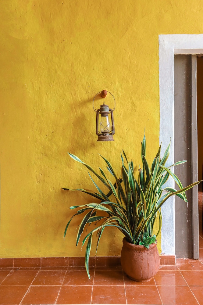 Hacienda San Miguel