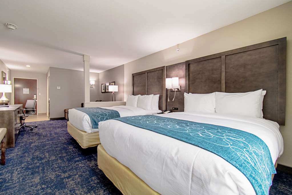 Comfort Suites Humble Houston IAH - photo 12