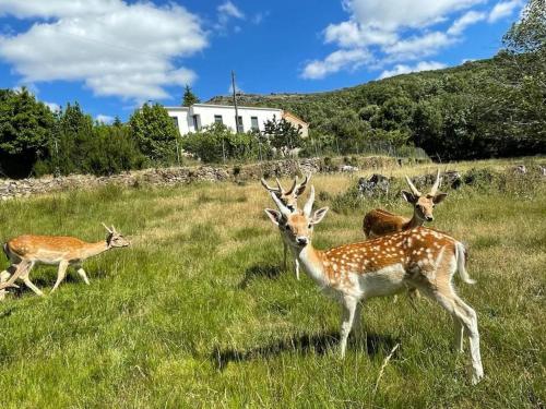 Quinta do Borges — 4-Star Luxury Hotel in Guarda, Portugal