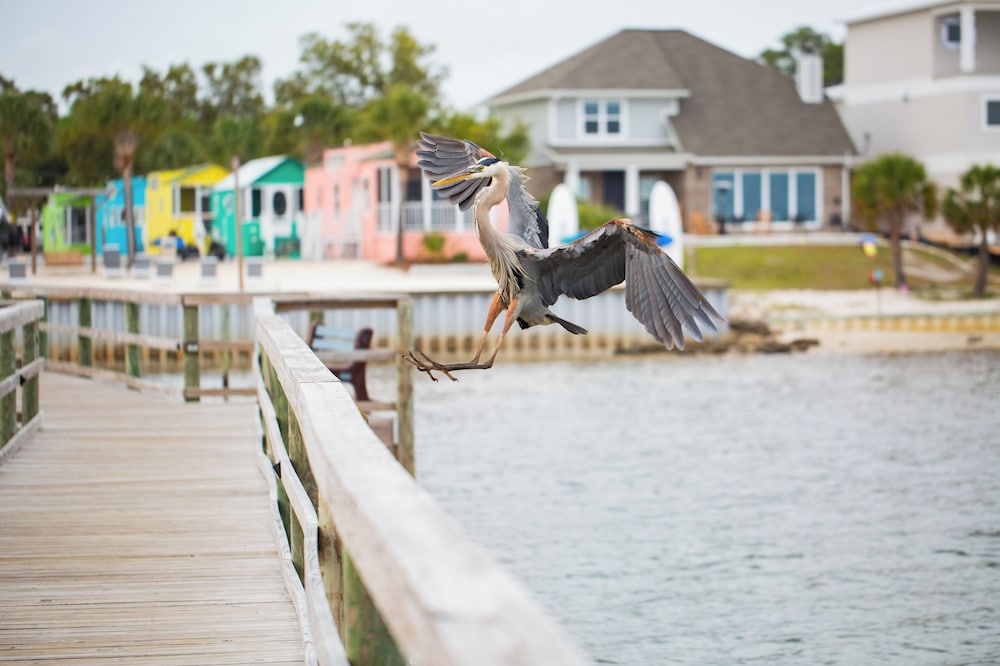 Navarre Beach Camping Resort - photo 84