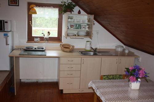 Apartment Benci — Jindrichuv Hradec — photo 3