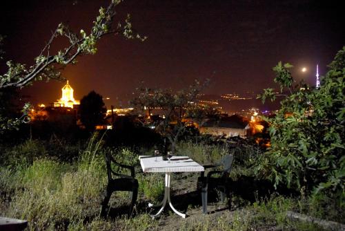 Panorama of Tbilisi
