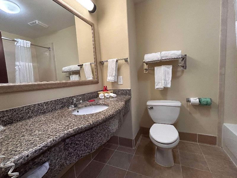 Holiday Inn Express Leesville - photo 43