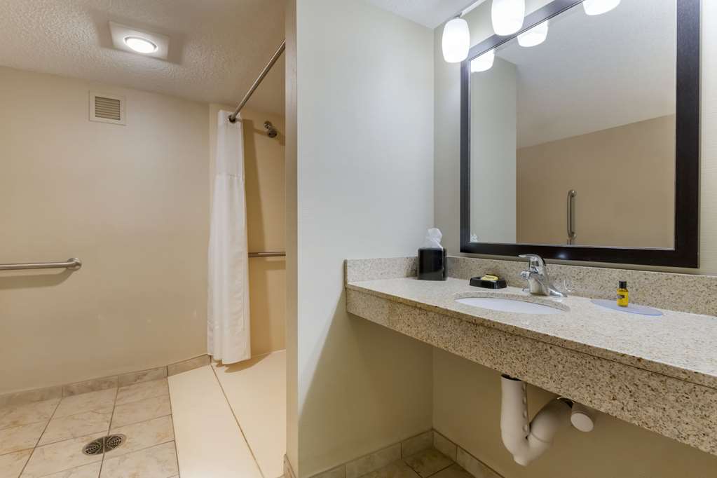 Best Western Plus St. Paul North Shoreview - photo 22