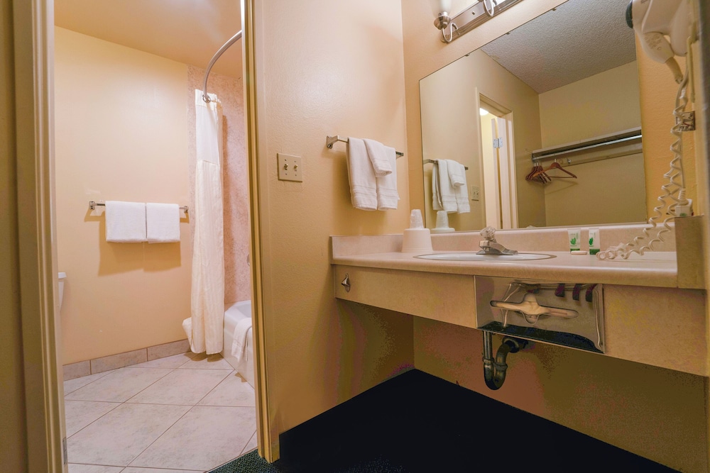 Royal Plaza Inn Indio - photo 55