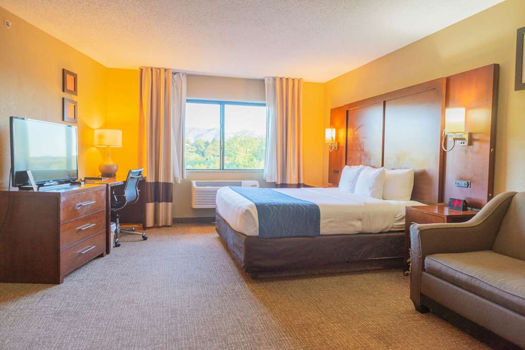 Comfort Inn North Air Force Academy Area - photo 3
