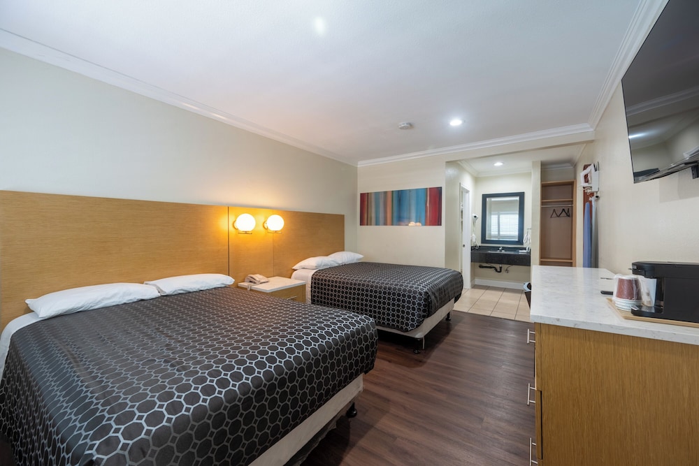Hollywood City Inn - photo 16