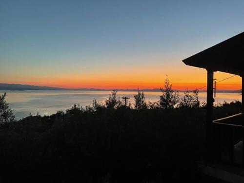Olive Grove House — Kalamos — photo 5