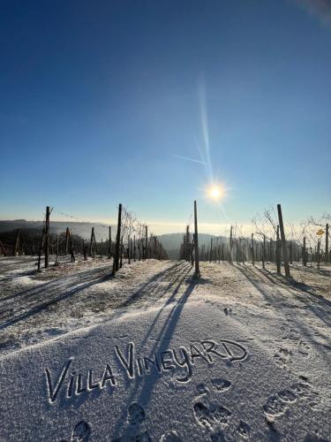Villa Vineyard — Ormoz — photo 4