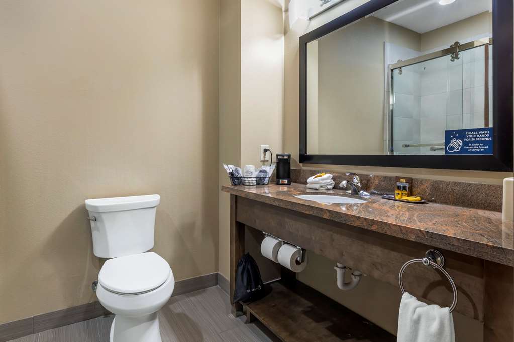 Best Western Plus Fort Stockton Hotel - photo 20