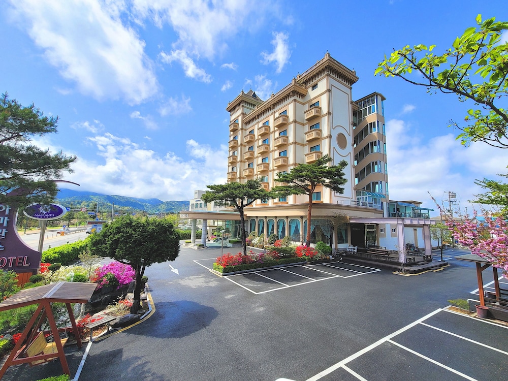 Hotel Amaranth - carbon neutral hotel in Sokcho