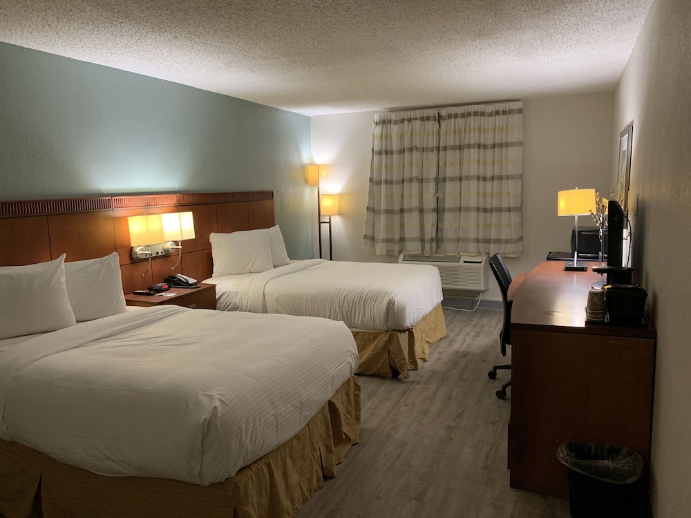 The Hotel Orange - photo 5